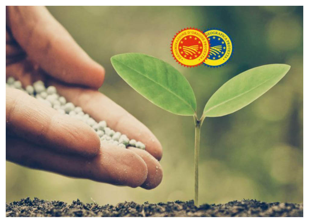 DOPECONOMY E RIPRESA DALLA PANDEMIA